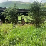 Log Village