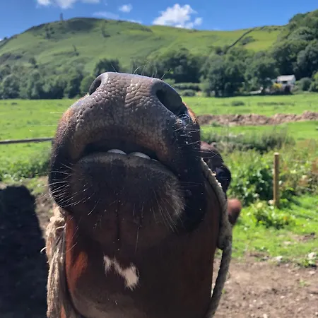 Log Village Lodge Ulverston