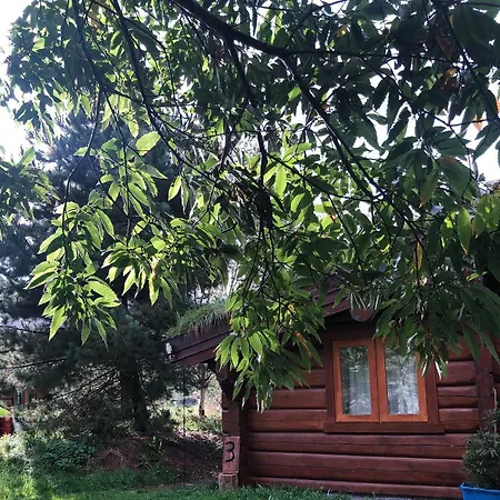 Log Village * Ulverston