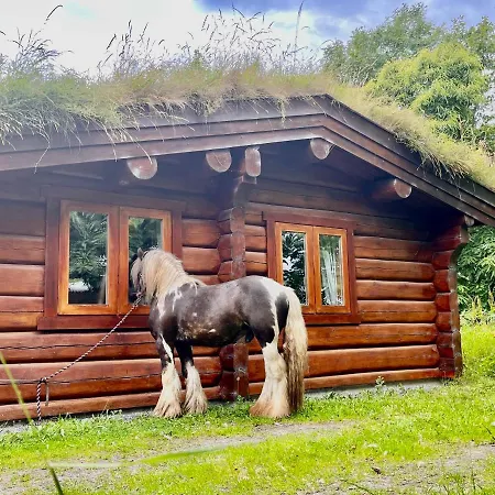 Lodge Log Village