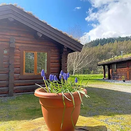 Log Village Lodge