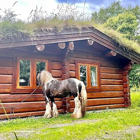 Log Village Lodge *