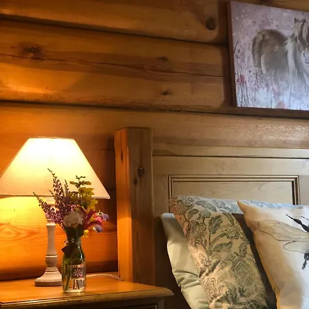 Log Village بيت خشبي ألفرستون