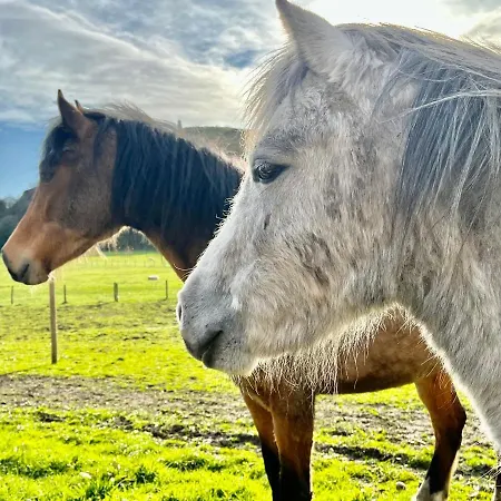 بيت خشبي Log Village *
